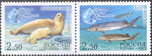 Россия, Тюлень, Осётр, Совместный с Ираном, 2003, 2 марки